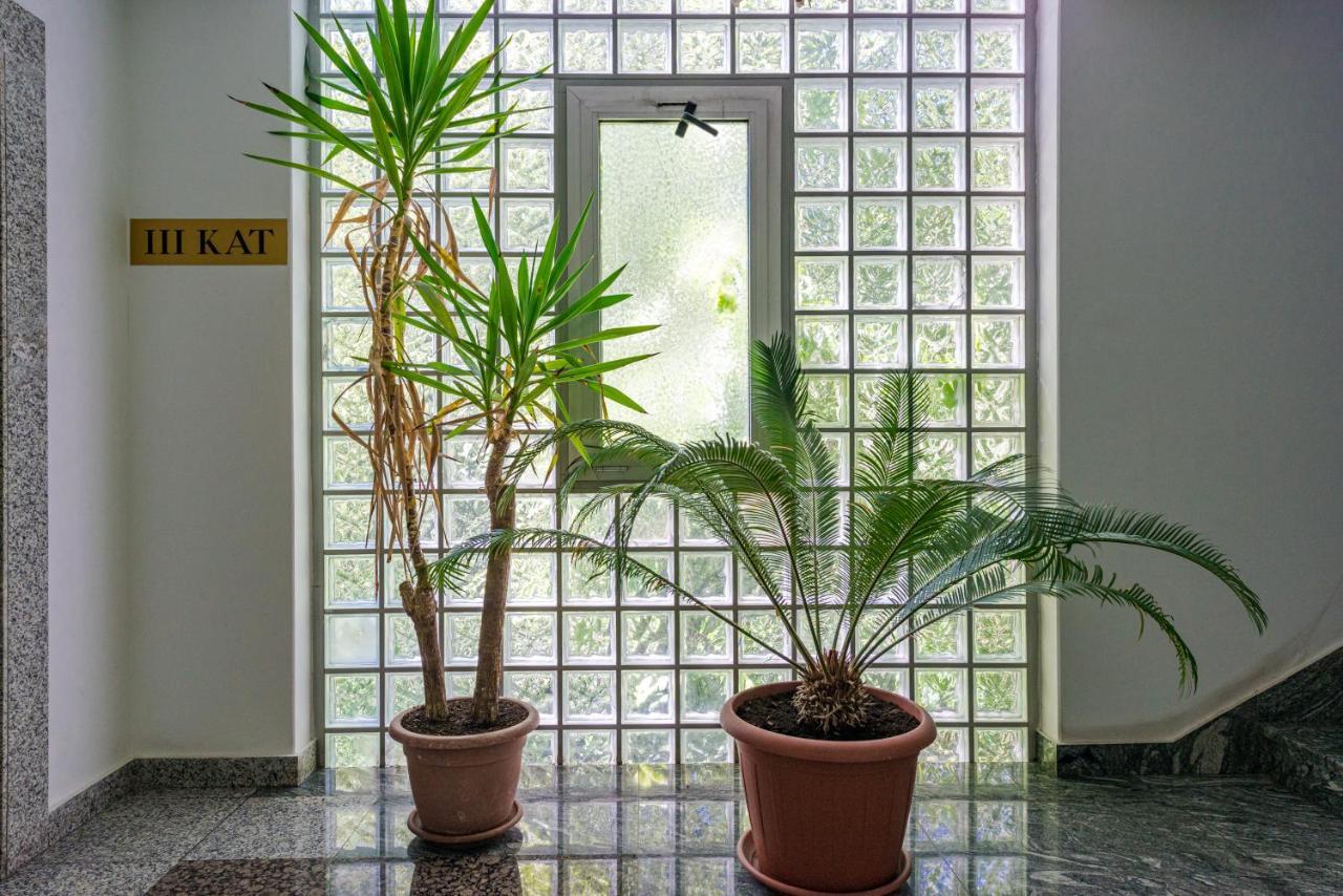 "Didu Studio" 20 Min Walk To Old Town 杜布罗夫尼克 外观 照片